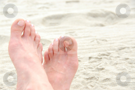 To use this stock image in your creative project, please select the size you need over to the right and click the "Add to Cart" button.
Your downloaded image will come with the Cutcaster watermark removed so don’t worry about the watermark you see on this page. Sandy feet stock photo, Crossed sandy feet on a beach by Elena Elisseeva