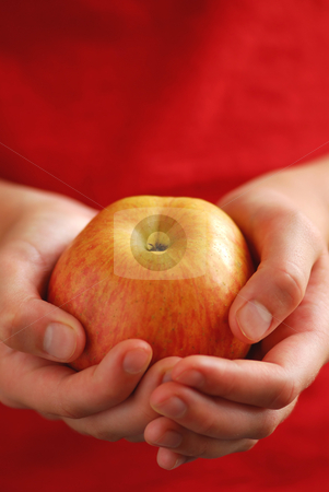 To use this stock image in your creative project, please select the size you need over to the right and click the "Add to Cart" button.
Your downloaded image will come with the Cutcaster watermark removed so don’t worry about the watermark you see on this page. Apple in hands stock photo, Child's hands holding an apple on red background by Elena Elisseeva