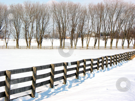 To use this stock image in your creative project, please select the size you need over to the right and click the "Add to Cart" button.
Your downloaded image will come with the Cutcaster watermark removed so don’t worry about the watermark you see on this page. Farm fence and trees 1 stock photo, Farm fence and trees in the lane in the winter by Elena Elisseeva