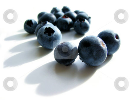To use this stock image in your creative project, please select the size you need over to the right and click the "Add to Cart" button.
Your downloaded image will come with the Cutcaster watermark removed so don’t worry about the watermark you see on this page. Blueberries macro on white stock photo, Fresh blueberries macro on white background with shadows by Elena Elisseeva