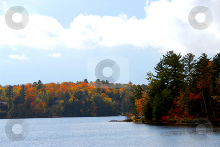 To use this stock image in your creative project, please select the size you need over to the right and click the "Add to Cart" button.
Your downloaded image will come with the Cutcaster watermark removed so don’t worry about the watermark you see on this page. Autumn lake stock photo, Lake and forest in the fall in northern Ontario, Canada by Elena Elisseeva