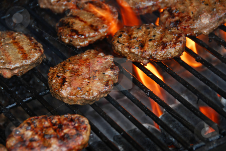 To use this stock image in your creative project, please select the size you need over to the right and click the "Add to Cart" button.
Your downloaded image will come with the Cutcaster watermark removed so don’t worry about the watermark you see on this page. Hamburgers on barbeque stock photo, Hamburgers cooking on barbeque grill with flames by Elena Elisseeva