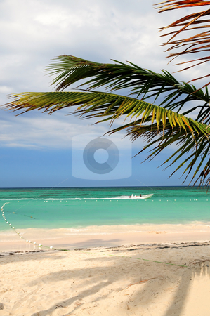 To use this stock image in your creative project, please select the size you need over to the right and click the "Add to Cart" button.
Your downloaded image will come with the Cutcaster watermark removed so don’t worry about the watermark you see on this page. Tropical beach stock photo, Tropical sandy beach of a Caribbean island by Elena Elisseeva