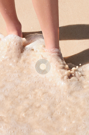 To use this stock image in your creative project, please select the size you need over to the right and click the "Add to Cart" button.
Your downloaded image will come with the Cutcaster watermark removed so don’t worry about the watermark you see on this page. Feet washed in ocean wave stock photo, Feet washed in surf on tropical sandy beach by Elena Elisseeva