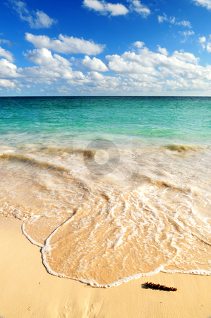 To use this stock image in your creative project, please select the size you need over to the right and click the "Add to Cart" button.
Your downloaded image will come with the Cutcaster watermark removed so don’t worry about the watermark you see on this page. Tropical beach stock photo, Tropical sandy beach with advancing wave and blue sky by Elena Elisseeva