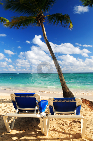 To use this stock image in your creative project, please select the size you need over to the right and click the "Add to Cart" button.
Your downloaded image will come with the Cutcaster watermark removed so don’t worry about the watermark you see on this page. Sandy beach of tropical resort stock photo, Sandy beach of tropical resort with palm trees and two reclining chairs by Elena Elisseeva