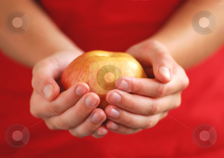 To use this stock image in your creative project, please select the size you need over to the right and click the "Add to Cart" button.
Your downloaded image will come with the Cutcaster watermark removed so don’t worry about the watermark you see on this page. Apple in hands stock photo, Child's hands holding an apple on red background by Elena Elisseeva