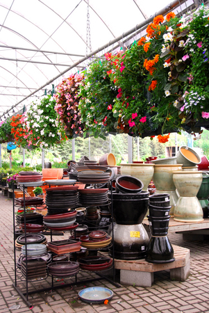 To use this stock image in your creative project, please select the size you need over to the right and click the "Add to Cart" button.
Your downloaded image will come with the Cutcaster watermark removed so don’t worry about the watermark you see on this page. Greenhouse stock photo, Flowers and ceramic pots for sale in a greenhouse by Elena Elisseeva