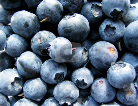 To use this stock image in your creative project, please select the size you need over to the right and click the "Add to Cart" button.
Your downloaded image will come with the Cutcaster watermark removed so don’t worry about the watermark you see on this page. Blueberries macro stock photo, Fresh blueberries close up by Elena Elisseeva