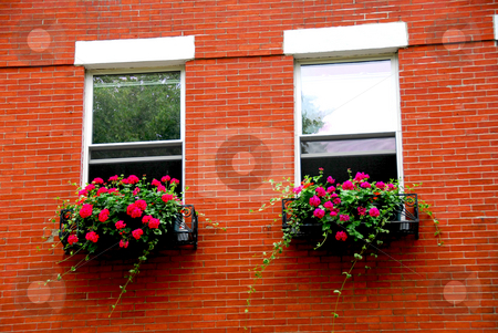 To use this stock image in your creative project, please select the size you need over to the right and click the "Add to Cart" button.
Your downloaded image will come with the Cutcaster watermark removed so don’t worry about the watermark you see on this page. Boston house fragment stock photo, Fragment of a red brick house in Boston historical North End with wrought iron flower boxes by Elena Elisseeva
