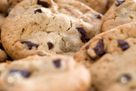 To use this stock image in your creative project, please select the size you need over to the right and click the "Add to Cart" button.
Your downloaded image will come with the Cutcaster watermark removed so don’t worry about the watermark you see on this page. Closeup of cookies stock photo, A closeup of chocolate chip cookies by Vince Clements