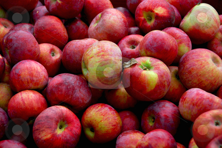 To use this stock image in your creative project, please select the size you need over to the right and click the "Add to Cart" button.
Your downloaded image will come with the Cutcaster watermark removed so don’t worry about the watermark you see on this page. Apples background stock photo, Background of fresh red apples by Elena Elisseeva