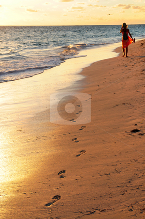 To use this stock image in your creative project, please select the size you need over to the right and click the "Add to Cart" button.
Your downloaded image will come with the Cutcaster watermark removed so don’t worry about the watermark you see on this page. Woman walking on beach stock photo, Woman walking on tropical beach at sunrise by Elena Elisseeva