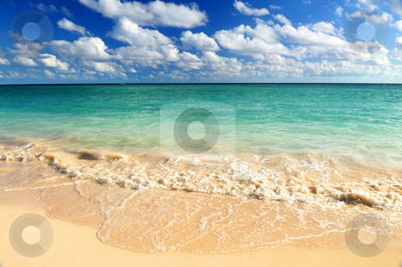 To use this stock image in your creative project, please select the size you need over to the right and click the "Add to Cart" button.
Your downloaded image will come with the Cutcaster watermark removed so don’t worry about the watermark you see on this page. Tropical beach stock photo, Tropical sandy beach with advancing wave and blue sky by Elena Elisseeva