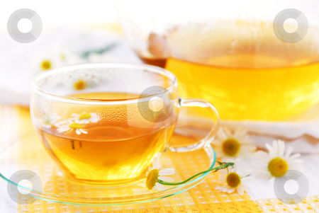To use this stock image in your creative project, please select the size you need over to the right and click the "Add to Cart" button.
Your downloaded image will come with the Cutcaster watermark removed so don’t worry about the watermark you see on this page. Camomile tea stock photo, Teacup and teapot with herbal soothing camomile tea by Elena Elisseeva