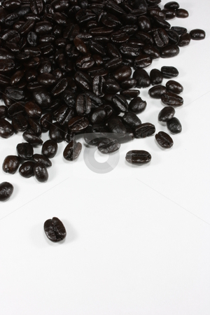 To use this stock image in your creative project, please select the size you need over to the right and click the "Add to Cart" button.
Your downloaded image will come with the Cutcaster watermark removed so don’t worry about the watermark you see on this page. Coffee Beans stock photo, Whole dark roast coffee beans isolated on white by Jessica Tooley