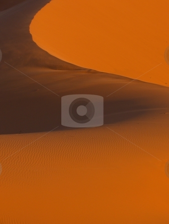 To use this stock image in your creative project, please select the size you need over to the right and click the "Add to Cart" button.
Your downloaded image will come with the Cutcaster watermark removed so don’t worry about the watermark you see on this page. Sand Ridge stock photo, A sand ridge shaped by the wind in the desert near Merzouga, Morocco by Jessica Tooley