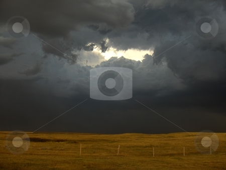 To use this stock image in your creative project, please select the size you need over to the right and click the "Add to Cart" button.
Your downloaded image will come with the Cutcaster watermark removed so don’t worry about the watermark you see on this page. Storm stock photo, Storm clouds over the prairie. by Jessica Tooley