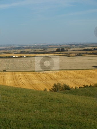 To use this stock image in your creative project, please select the size you need over to the right and click the "Add to Cart" button.
Your downloaded image will come with the Cutcaster watermark removed so don’t worry about the watermark you see on this page. Patchwork Fields stock photo, The view from a hill on the Canadian prairies by Jessica Tooley