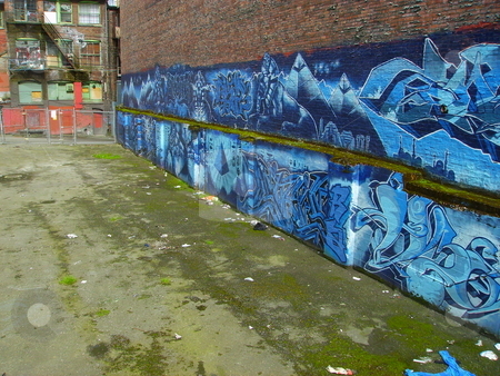 To use this stock image in your creative project, please select the size you need over to the right and click the "Add to Cart" button.
Your downloaded image will come with the Cutcaster watermark removed so don’t worry about the watermark you see on this page. East Van stock photo, Image of graffiti in a vacant lot on the downtown eastside of Vancouver, Canada by Jessica Tooley