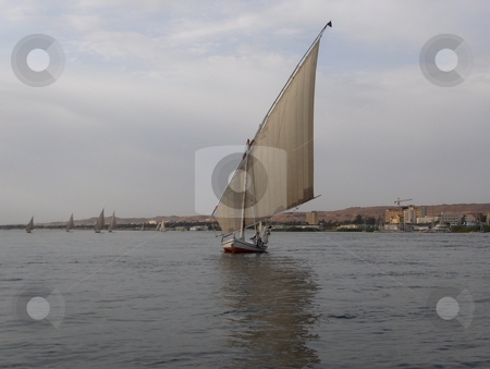 To use this stock image in your creative project, please select the size you need over to the right and click the "Add to Cart" button.
Your downloaded image will come with the Cutcaster watermark removed so don’t worry about the watermark you see on this page. Felucca on the Nile stock photo, Sailboat on the Nile in Egypt. by Jessica Tooley