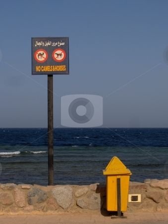 To use this stock image in your creative project, please select the size you need over to the right and click the "Add to Cart" button.
Your downloaded image will come with the Cutcaster watermark removed so don’t worry about the watermark you see on this page. No Camels or Horses sign stock photo, A sign on a beach in Dahab, Egypt. by Jessica Tooley
