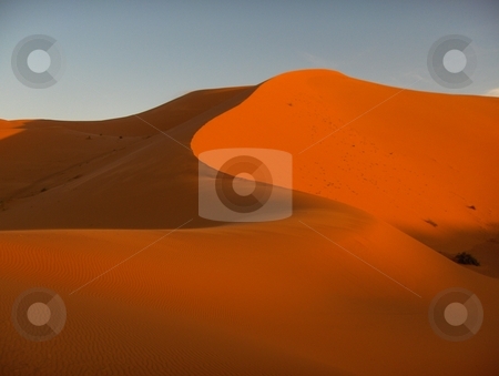 To use this stock image in your creative project, please select the size you need over to the right and click the "Add to Cart" button.
Your downloaded image will come with the Cutcaster watermark removed so don’t worry about the watermark you see on this page. Morocco Dunes stock photo, Sand dunes in Morocco by Jessica Tooley