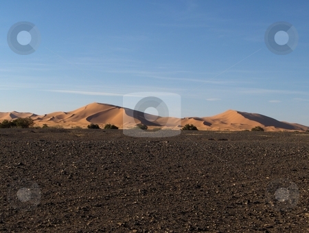 To use this stock image in your creative project, please select the size you need over to the right and click the "Add to Cart" button.
Your downloaded image will come with the Cutcaster watermark removed so don’t worry about the watermark you see on this page. Morocco Dunes stock photo, Sand dunes in Morocco by Jessica Tooley