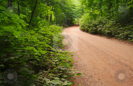 To use this stock image in your creative project, please select the size you need over to the right and click the "Add to Cart" button.
Your downloaded image will come with the Cutcaster watermark removed so don’t worry about the watermark you see on this page. Country road and meadow. stock photo, Country road and meadow on a summer day. by Andy Dean