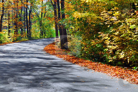 To use this stock image in your creative project, please select the size you need over to the right and click the "Add to Cart" button.
Your downloaded image will come with the Cutcaster watermark removed so don’t worry about the watermark you see on this page. Fall forest road stock photo, Curving road in a colorful fall forest by Elena Elisseeva