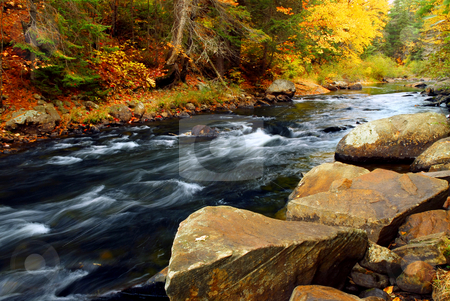To use this stock image in your creative project, please select the size you need over to the right and click the "Add to Cart" button.
Your downloaded image will come with the Cutcaster watermark removed so don’t worry about the watermark you see on this page. Forest river in the fall stock photo, Forest river in the fall. Algonquin provincial park, Canada. by Elena Elisseeva