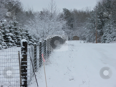 To use this stock image in your creative project, please select the size you need over to the right and click the "Add to Cart" button.
Your downloaded image will come with the Cutcaster watermark removed so don’t worry about the watermark you see on this page. Road Not Yet Traveled stock photo, A snow covered fenceline marks an invisible road that hasn't seen traffic on a snowy spring morning in Minnesota by Dennis Thomsen