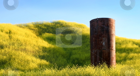 To use this stock image in your creative project, please select the size you need over to the right and click the "Add to Cart" button.
Your downloaded image will come with the Cutcaster watermark removed so don’t worry about the watermark you see on this page. Silo stock photo, Silo in the middle of yellow mustard by Henrik Lehnerer