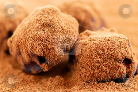 To use this stock image in your creative project, please select the size you need over to the right and click the "Add to Cart" button.
Your downloaded image will come with the Cutcaster watermark removed so don’t worry about the watermark you see on this page. Chocolate truffles stock photo, Macro of dark chocolate truffles sprinkled with cocoa powder by Elena Elisseeva