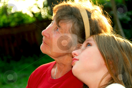 To use this stock image in your creative project, please select the size you need over to the right and click the "Add to Cart" button.
Your downloaded image will come with the Cutcaster watermark removed so don’t worry about the watermark you see on this page. Two generations stock photo, Portrait of grandmother and granddaughter in summer park looking up by Elena Elisseeva