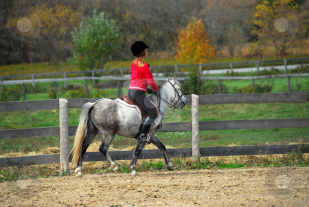 To use this stock image in your creative project, please select the size you need over to the right and click the "Add to Cart" button.
Your downloaded image will come with the Cutcaster watermark removed so don’t worry about the watermark you see on this page. Riding stock photo, Young girl riding a white pony at countryside by Elena Elisseeva