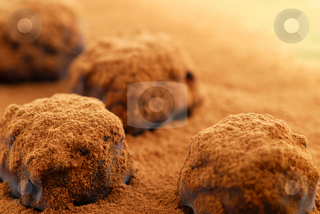 To use this stock image in your creative project, please select the size you need over to the right and click the "Add to Cart" button.
Your downloaded image will come with the Cutcaster watermark removed so don’t worry about the watermark you see on this page. Chocolate truffles stock photo, Macro of dark chocolate truffles sprinkled with cocoa powder with copy space by Elena Elisseeva
