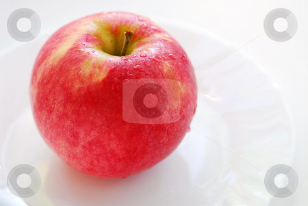 To use this stock image in your creative project, please select the size you need over to the right and click the "Add to Cart" button.
Your downloaded image will come with the Cutcaster watermark removed so don’t worry about the watermark you see on this page. Red apple on a plate stock photo, Red dewy apple on a white plate by Elena Elisseeva