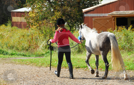 To use this stock image in your creative project, please select the size you need over to the right and click the "Add to Cart" button.
Your downloaded image will come with the Cutcaster watermark removed so don’t worry about the watermark you see on this page. Girl and pony stock photo, Young girl leading a white pony to stable by Elena Elisseeva