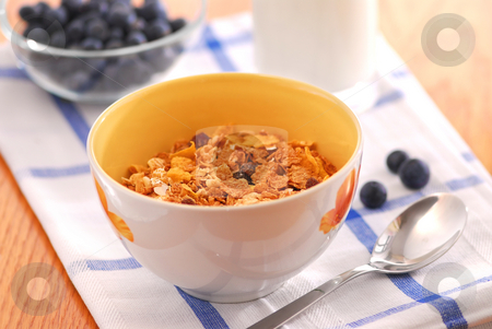 To use this stock image in your creative project, please select the size you need over to the right and click the "Add to Cart" button.
Your downloaded image will come with the Cutcaster watermark removed so don’t worry about the watermark you see on this page. Healthy breakfast stock photo, Healthy breakfast of cereal, milk and blueberries served on a table on sunny morning by Elena Elisseeva