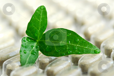 To use this stock image in your creative project, please select the size you need over to the right and click the "Add to Cart" button.
Your downloaded image will come with the Cutcaster watermark removed so don’t worry about the watermark you see on this page. Herbal supplement stock photo, Herbal supplement pills close up with fresh green leaf by Elena Elisseeva