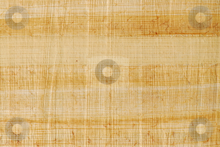 To use this stock image in your creative project, please select the size you need over to the right and click the "Add to Cart" button.
Your downloaded image will come with the Cutcaster watermark removed so don’t worry about the watermark you see on this page. Papyrus stock photo, Natural papyrus background by Elena Elisseeva