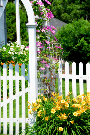 To use this stock image in your creative project, please select the size you need over to the right and click the "Add to Cart" button.
Your downloaded image will come with the Cutcaster watermark removed so don’t worry about the watermark you see on this page. Garden stock photo, White picket fence and pink clematis at country house by Elena Elisseeva