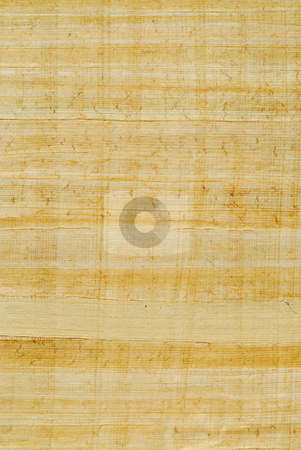 To use this stock image in your creative project, please select the size you need over to the right and click the "Add to Cart" button.
Your downloaded image will come with the Cutcaster watermark removed so don’t worry about the watermark you see on this page. Papyrus stock photo, Natural papyrus background by Elena Elisseeva