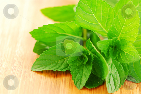 To use this stock image in your creative project, please select the size you need over to the right and click the "Add to Cart" button.
Your downloaded image will come with the Cutcaster watermark removed so don’t worry about the watermark you see on this page. Fresh mint stock photo, Sprigs of fresh green mint on a cutting board, closeup by Elena Elisseeva