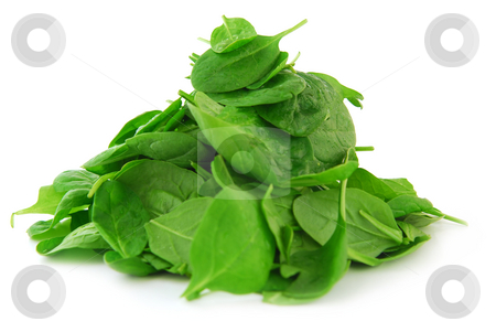 To use this stock image in your creative project, please select the size you need over to the right and click the "Add to Cart" button.
Your downloaded image will come with the Cutcaster watermark removed so don’t worry about the watermark you see on this page. Spinach stock photo, Pile of spinach isolated on white background by Elena Elisseeva