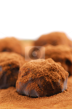 To use this stock image in your creative project, please select the size you need over to the right and click the "Add to Cart" button.
Your downloaded image will come with the Cutcaster watermark removed so don’t worry about the watermark you see on this page. Chocolate truffles stock photo, Macro of dark chocolate truffles sprinkled with cocoa powder with white copy space by Elena Elisseeva