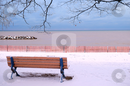 To use this stock image in your creative project, please select the size you need over to the right and click the "Add to Cart" button.
Your downloaded image will come with the Cutcaster watermark removed so don’t worry about the watermark you see on this page. Winter bench stock photo, Winter park with a bench covered with snow. Beach area, Toronto, Canada. by Elena Elisseeva