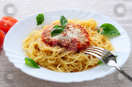 To use this stock image in your creative project, please select the size you need over to the right and click the "Add to Cart" button.
Your downloaded image will come with the Cutcaster watermark removed so don’t worry about the watermark you see on this page. Plate of pasta stock photo, Big plate of pasta with tomato basil sauce and parmesan by Elena Elisseeva