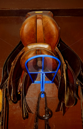 To use this stock image in your creative project, please select the size you need over to the right and click the "Add to Cart" button.
Your downloaded image will come with the Cutcaster watermark removed so don’t worry about the watermark you see on this page. Saddles stock photo, Two saddles on a rack in a tack room, horseback riding equipment by Elena Elisseeva